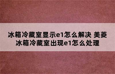 冰箱冷藏室显示e1怎么解决 美菱冰箱冷藏室出现e1怎么处理